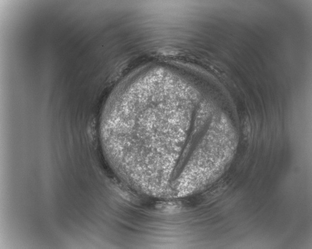 X0000065970559200603311841