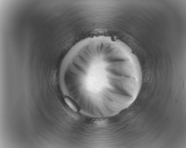 X0000065970560200603311841