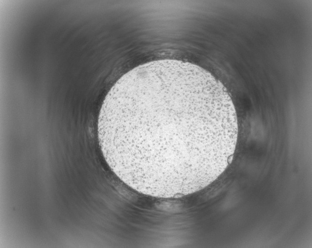 X0000065970561200603311841