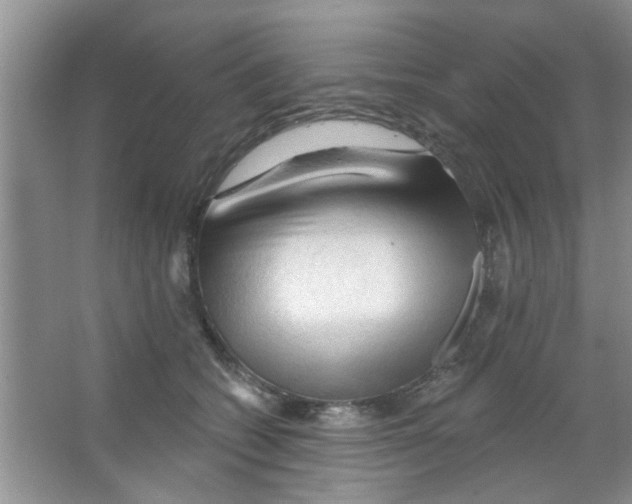 X0000065970562200603311841