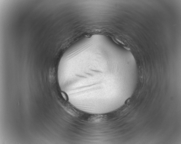 X0000065970563200603311842