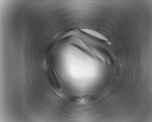 X0000065970564200603311842