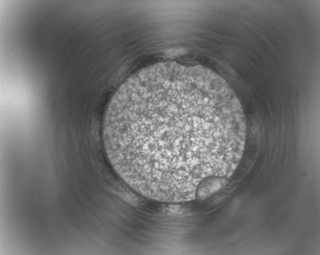 X0000065970565200603311842