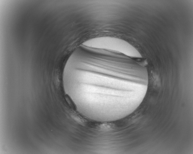 X0000065970566200603311842