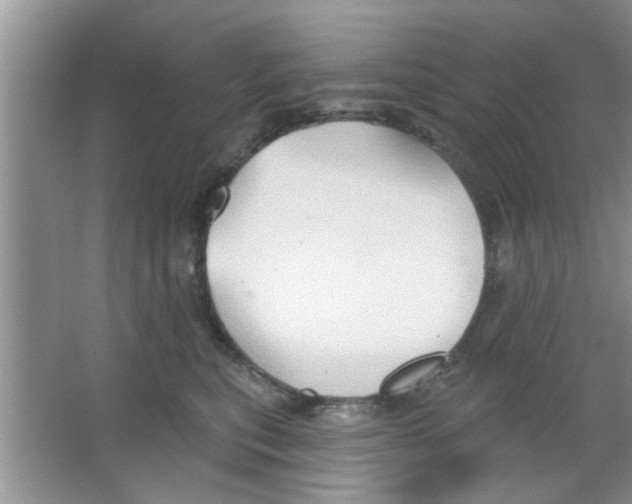 X0000065970567200603311842