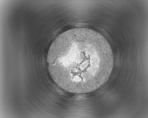 X0000065970569200603311842