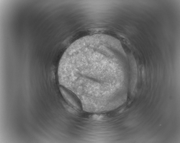 X0000065970570200603311842