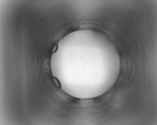 X0000065970571200603311842