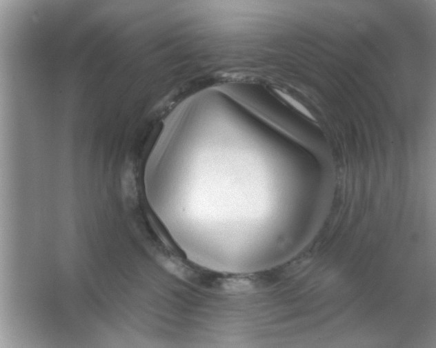 X0000065970572200603311842