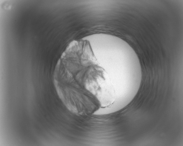 X0000065970573200603311842