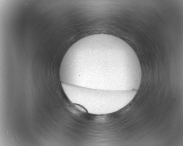 X0000065970574200603311842