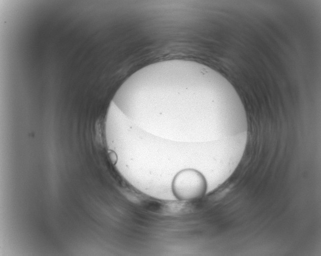 X0000065970575200603311842