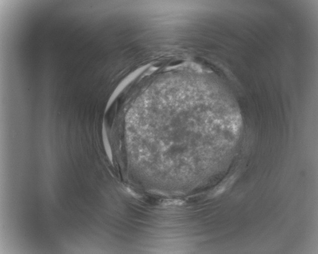 X0000065970576200603311842