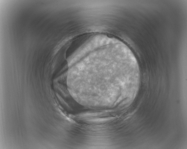 X0000065970577200603311841