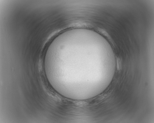 X0000065970579200603311841