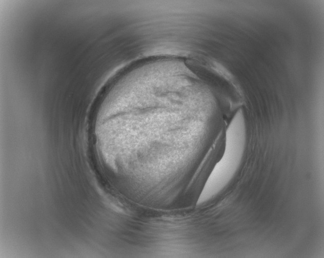 X0000065970580200603311841