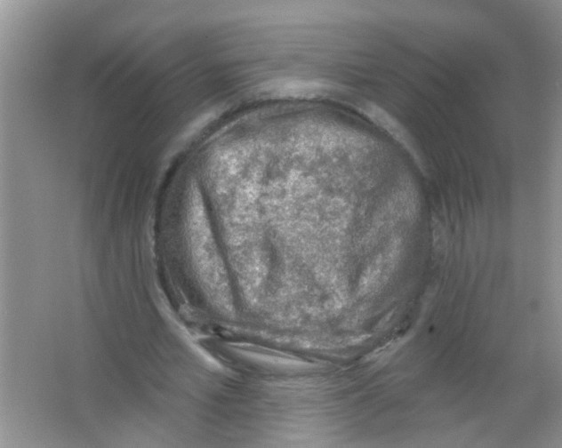 X0000065970581200603311841