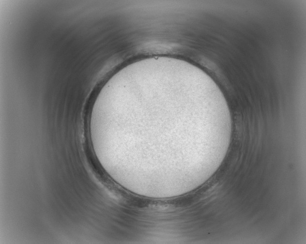 X0000065970582200603311841