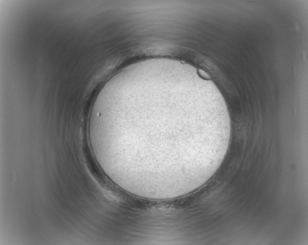 X0000065970586200603311841