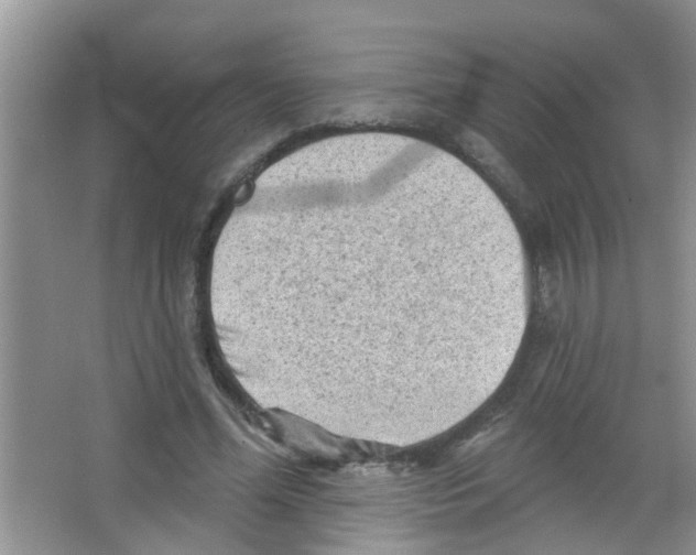 X0000065970588200603311841