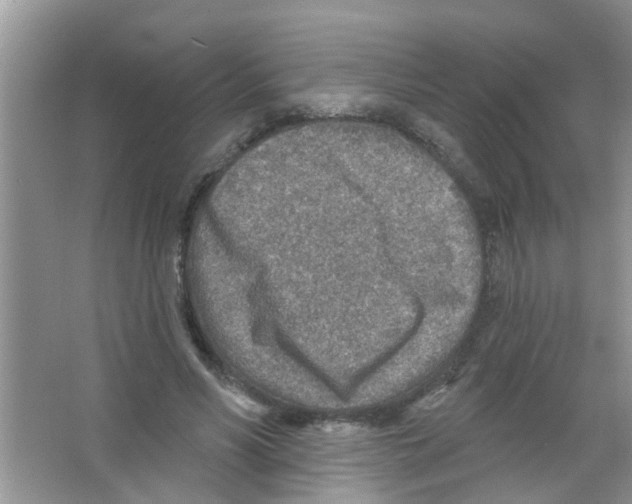 X0000065970590200603311841