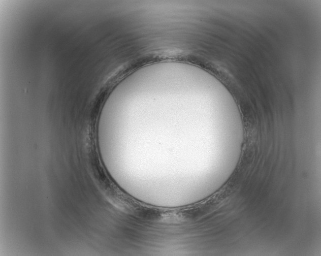 X0000065970591200603311841