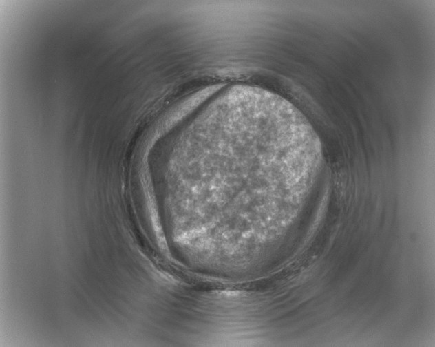 X0000065970593200603311841