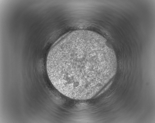 X0000065970594200603311841