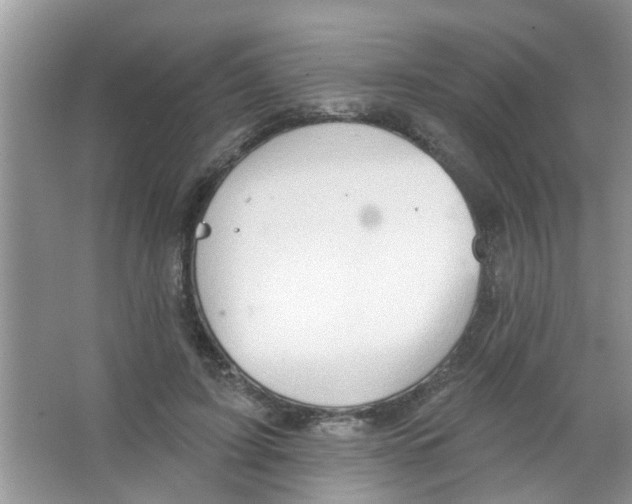 X0000065970595200603311841