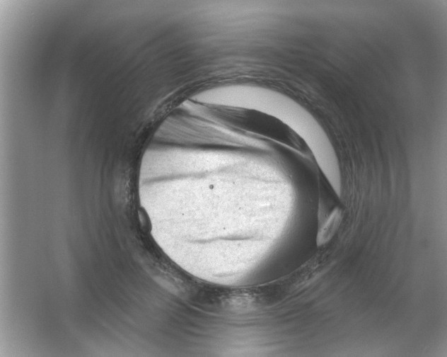 X0000065970600200603311841