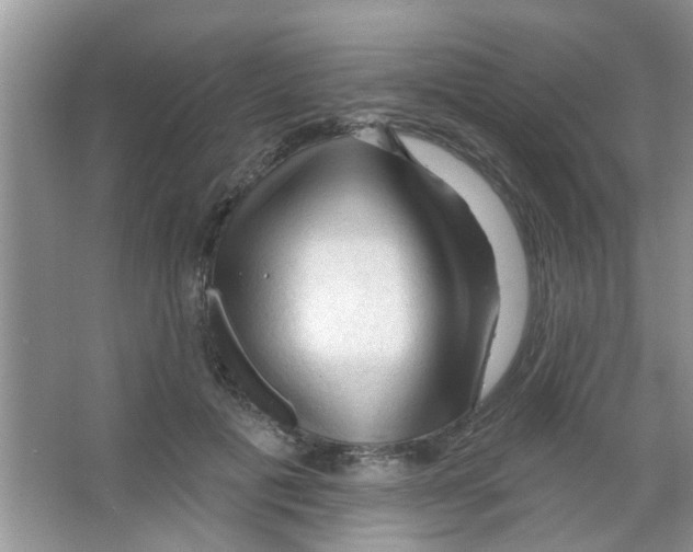 X0000065970601200603311841