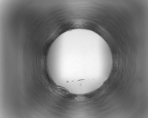 X0000065970603200603311840