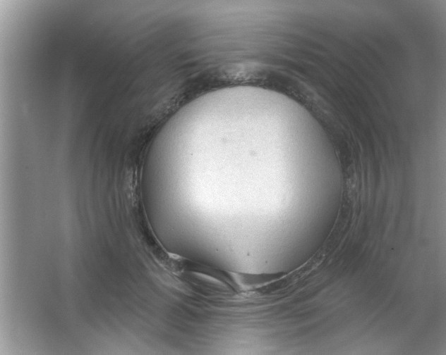 X0000065970605200603311840