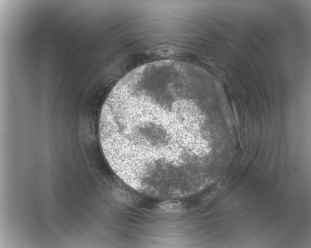 X0000065970606200603311840