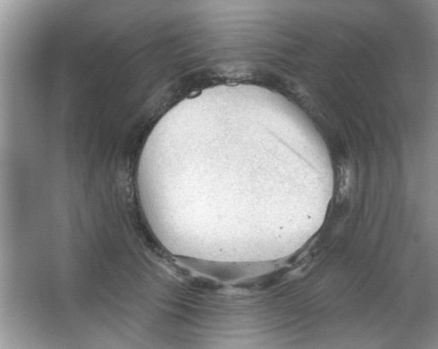 X0000065970609200603311840