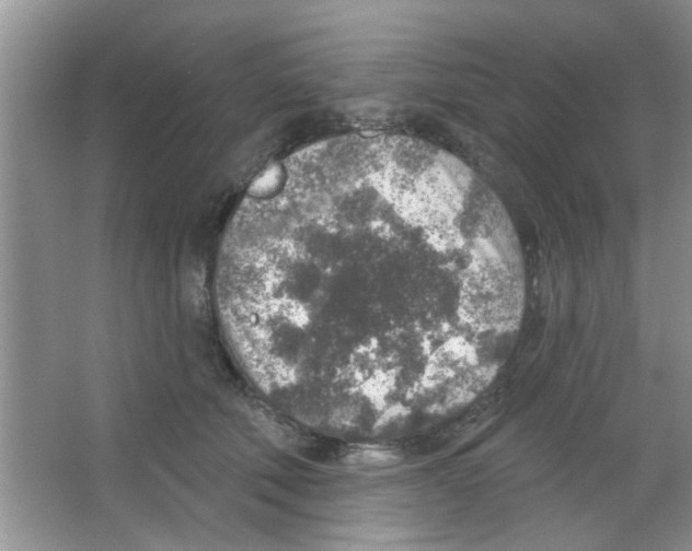 X0000065970610200603311840