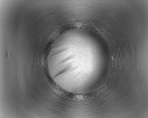 X0000065970611200603311840