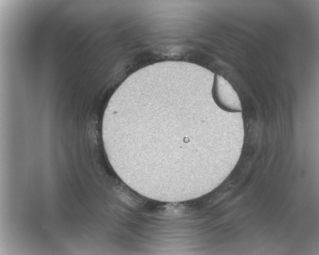 X0000065970612200603311840