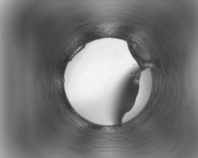 X0000065970613200603311840