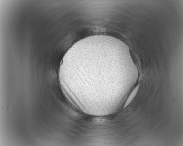 X0000065970614200603311840