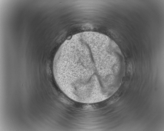 X0000065970616200603311840