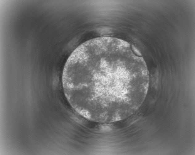 X0000065970618200603311840