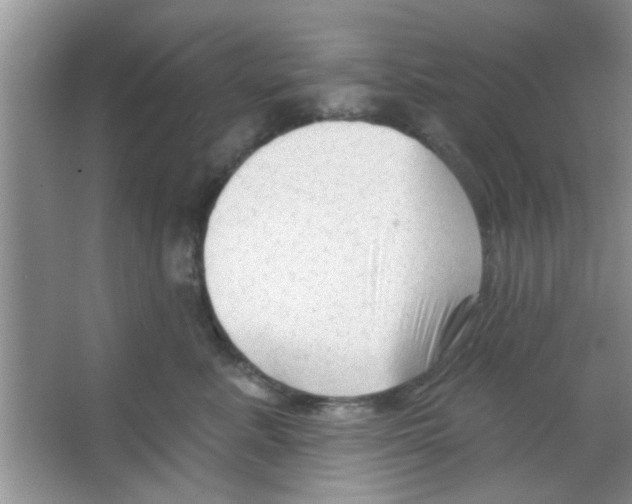 X0000065970619200603311840