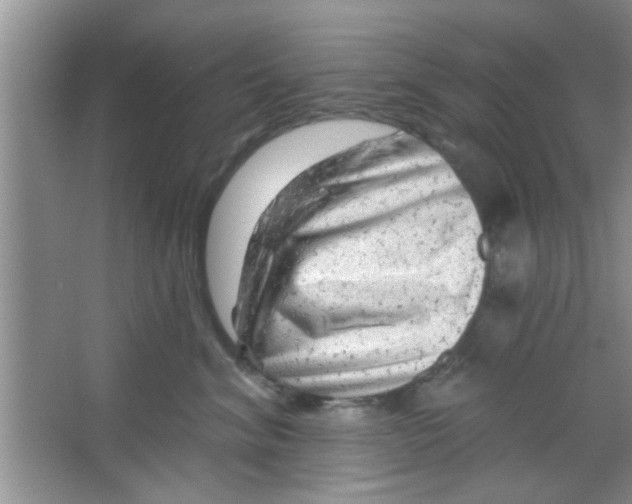 X0000065970620200603311840