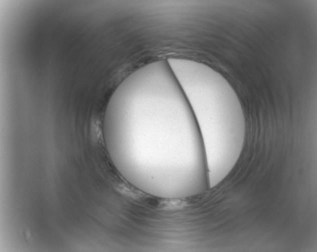 X0000065970621200603311840