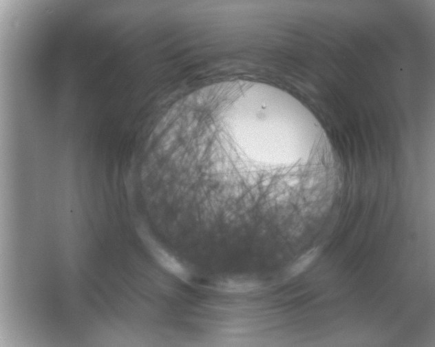 X0000065970622200603311840