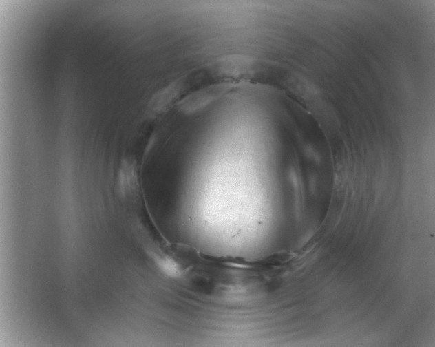 X0000065970623200603311840