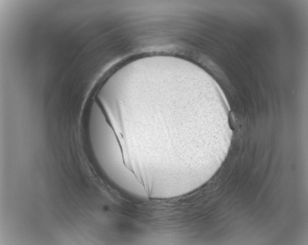 X0000065970628200603311839