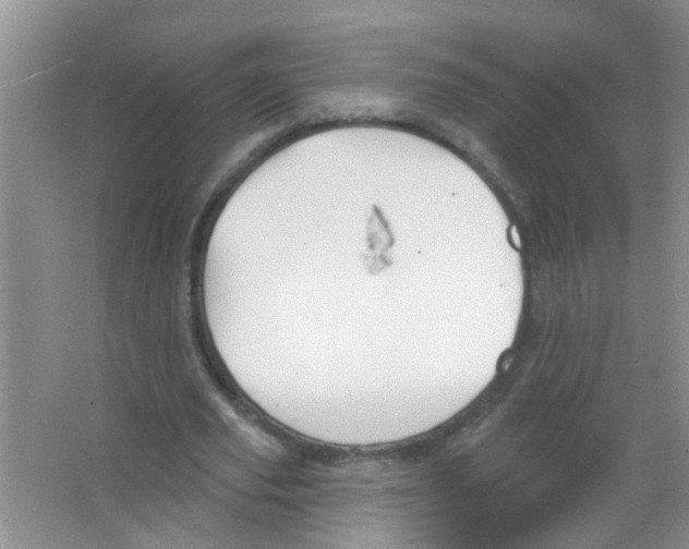 X0000065970629200603311839