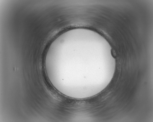 X0000065970631200603311839